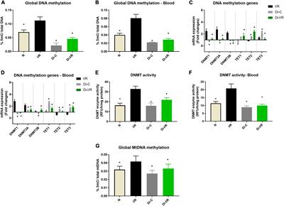 Targeting DNA methylation can reduce cardiac injury associated with ischemia reperfusion: One step closer to clinical translation with blood-borne assessment